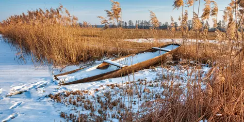 Spreewald im Lichterglanz