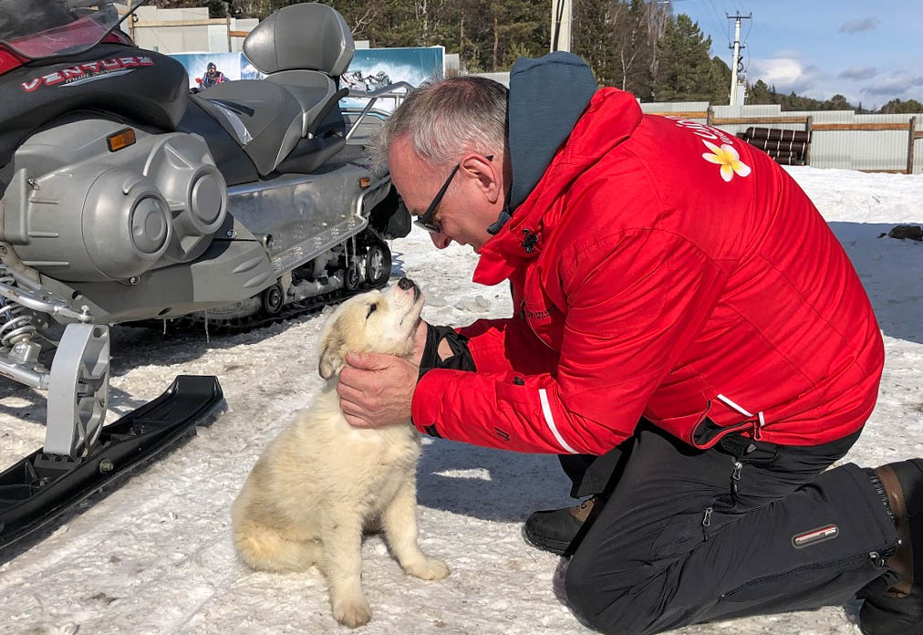 Horst streichelt Husky-Welpe