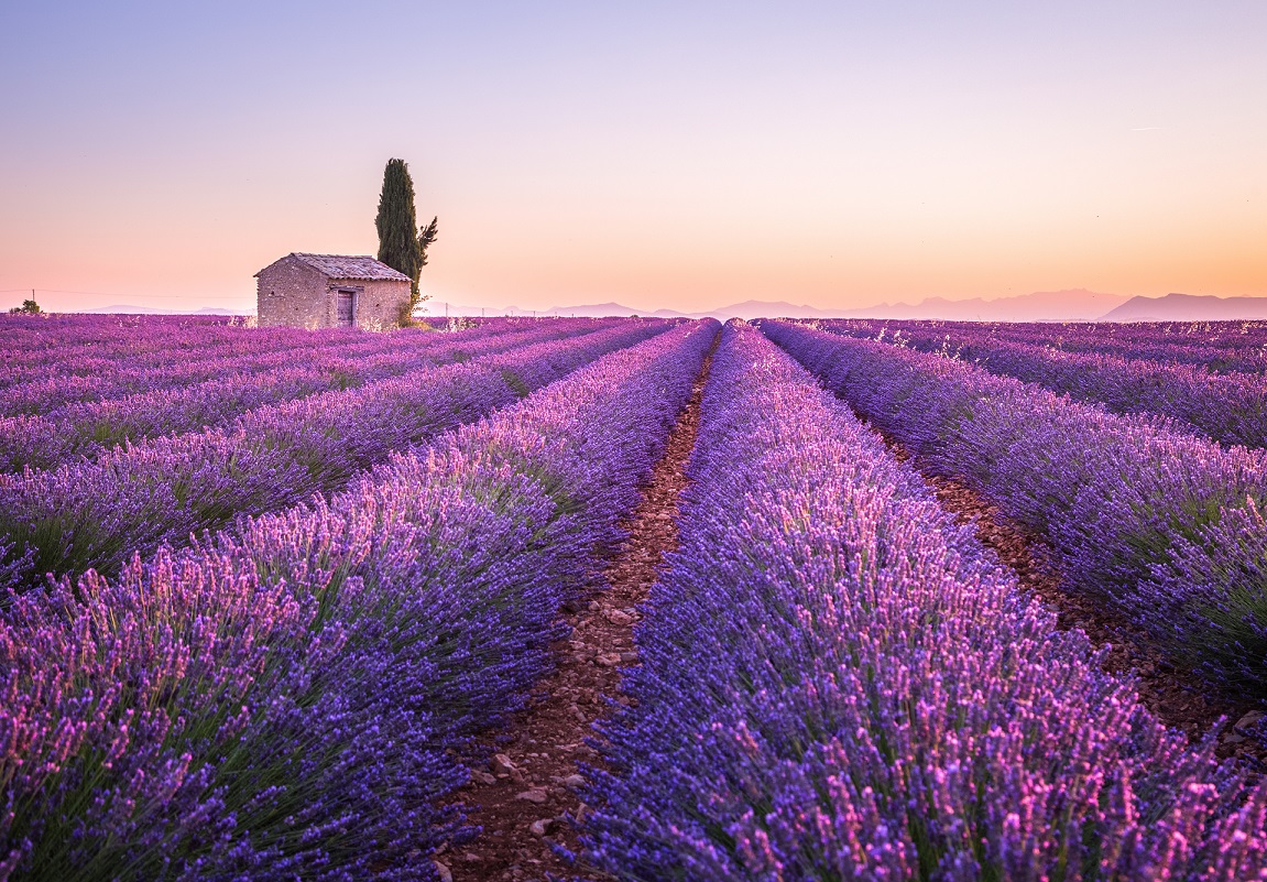 Südfrankreich – Die Provence
