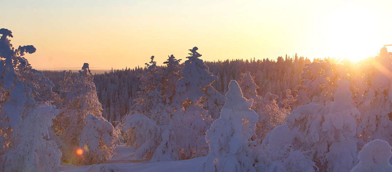 Wiederkehrender Zauber Finnlands im Winter
