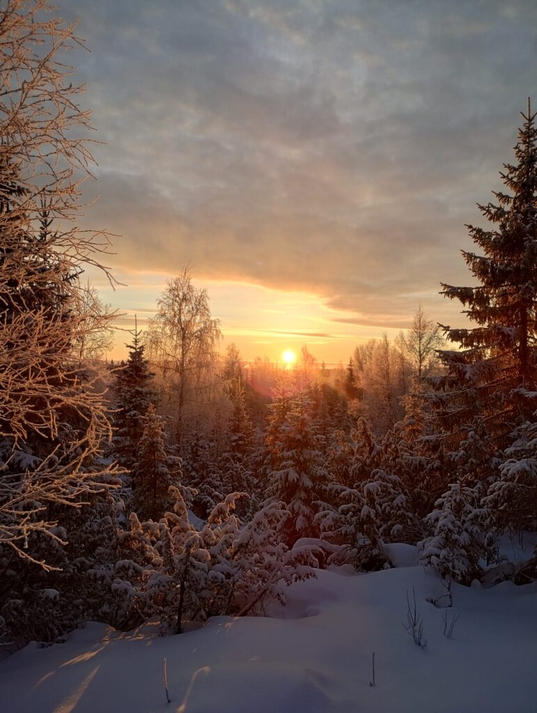 Winterlandschaft Lappland