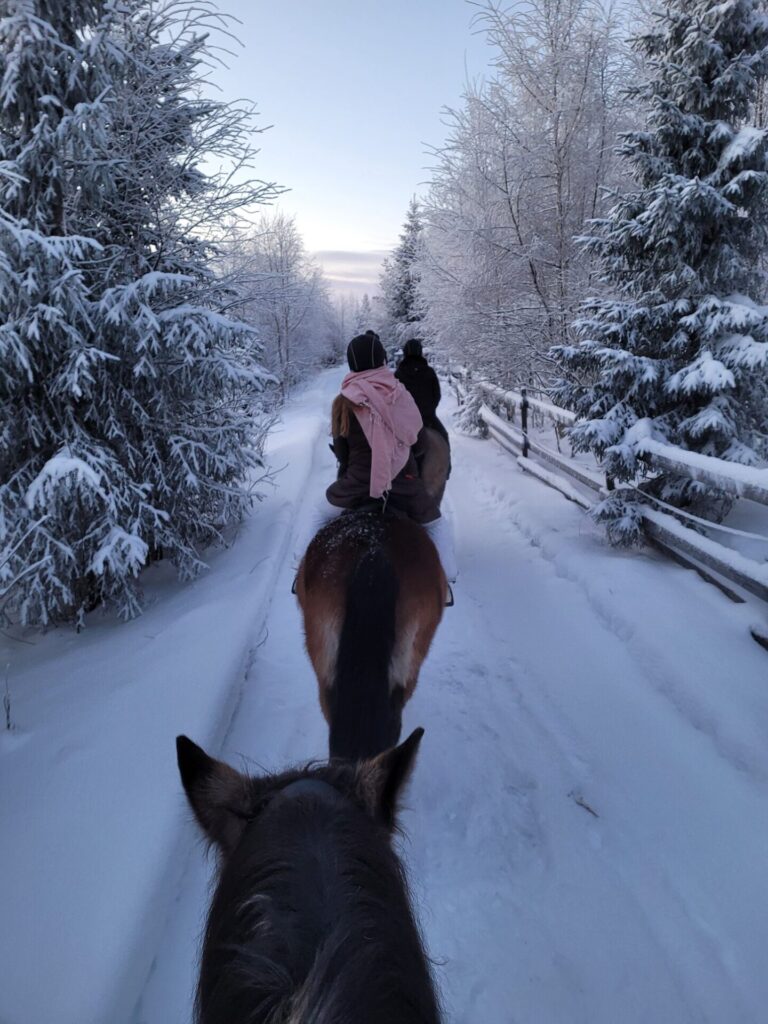 Winterausritt durch Winterlandschaft