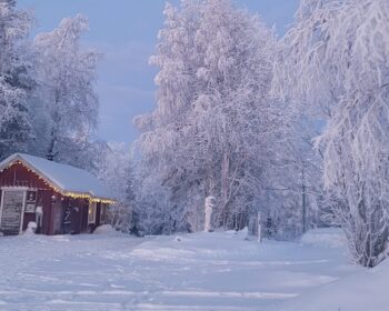 Reiterhof in Finnisch Lappland